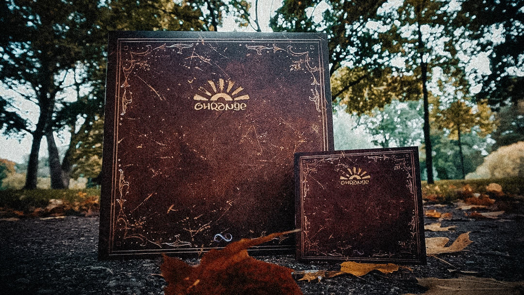 CD- und LP-Hülle in dunklem Leder-Look auf Herbstlaub